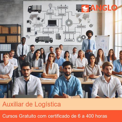 Auxiliar de Logística